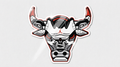Jordan Bulls