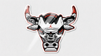 Jordan Bulls
