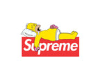 Homer Sleeping on Supreme